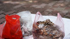 Chung tay dọn rác vì một Hà Nội xanh - sạch - đẹp