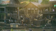 Phim Việt chiếu rạp: “Đường đua” nhộn nhịp trở lại