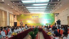 TP.HCM đồng hành cùng các tỉnh Tây Nguyên phát triển