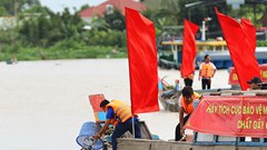 Thả hơn 1 triệu con cá giống xuống sông Hậu tái tạo nguồn lợi thủy sản