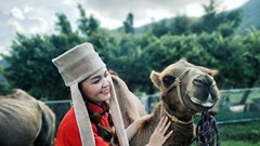 “Nội Mông” bên trong An Hảo Solar