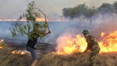 Quảng Trị: Khống chế đám cháy ở rừng phòng hộ xã Triệu Sơn