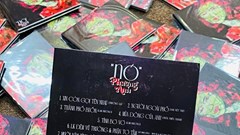 Mới lạ trong album mới của Lê Ngọc Phương Anh