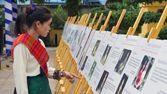 Triển lãm ‘Xanh màu khát vọng’ ở Trường Sơn