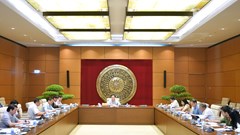 Việt Nam tiếp tục thể hiện trách nhiệm đối với cộng đồng thế giới