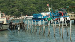 Ninh Thuận: Tháo bỏ cầu gỗ du lịch không an toàn trên vịnh Vĩnh Hy