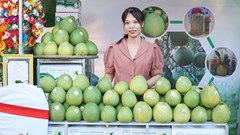 Trải nghiệm phiên chợ nông sản tại trung tâm thành phố Huế