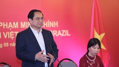 Tiếp tục thúc đẩy giao lưu văn hóa, giao lưu nhân dân, hợp tác giáo dục giữa Việt Nam và Brazil