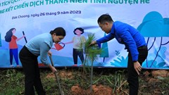 Đoàn viên, thanh niên trồng 3.000 cây xanh tại Di tích lịch sử quốc gia Ngục Đăk Glei