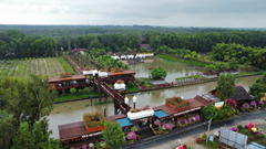 Kiến trúc hạnh phúc trong mỗi công trình