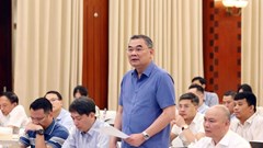 Bà Ngô Thị Tố Nhiên bị bắt về tội chiếm đoạt tài liệu của cơ quan, tổ chức