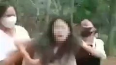 Điều tra nữ sinh lớp 9 bị nhóm bạn đánh đập, lột đồ trong rừng