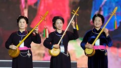 Liên hoan hát Then, đàn Tính tỉnh Bắc Giang lần thứ I