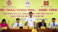 Bảo tồn và phát huy giá trị Đền Mẫu Âu cơ, Tín ngưỡng thờ Mẫu Âu cơ