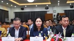 Bóng đá Việt Nam tích cực chuẩn bị cho các đội tuyển quốc gia