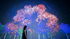 Trải nghiệm không gian nghệ thuật kỹ thuật số đầu tiên ở Huế