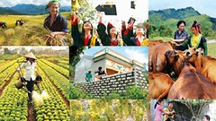 Lập Hội đồng thẩm định Báo cáo đề xuất điều chỉnh chủ trương đầu tư Chương trình mục tiêu quốc gia