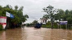 Quảng Nam: Lũ trên các sông Vu Gia, Thu Bồn và Tam Kỳ đang lên, sơ tán 112 hộ dân