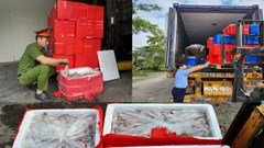 Bắt giữ hơn 4.500 kg cá khoai ướp phoóc môn chuẩn bị 'tuồn' ra thị trường