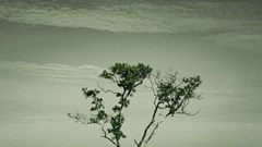 Liên hoan phim ngắn TP.HCM:  “Làn gió mới” của điện ảnh Việt