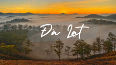 Liên hoan Phim Việt Nam 2023 lần đầu tiên được tổ chức tại TP Đà Lạt