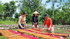 Huyện Tư Nghĩa (Quảng Ngãi): Đồng hành cùng người dân phát triển kinh tế