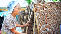 Dâu tằm tơ Việt Nam với giấc mơ vươn ra thế giới