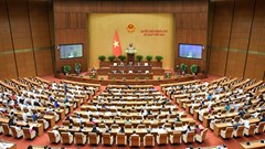 Đại biểu Quốc hội: Cần chú trọng đầu tư phát triển văn hoá