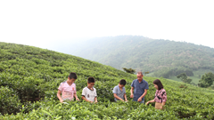 Tạo không gian phát triển sản phẩm OCOP