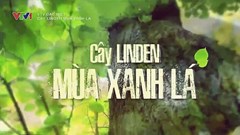 Phim tài liệu "Cây Linden mùa xanh lá" ra mắt tại Pháp