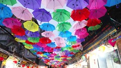 Gia tăng giá trị từ du lịch nông nghiệp, nông thôn