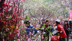 Trình phương án nghỉ Tết Âm lịch và Lễ Quốc khánh năm 2024