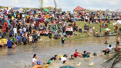An Giang: Tưng bừng ngày hội mùa nước nổi và Giải đua xuồng huyện Châu Phú