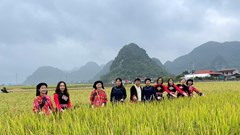 Lễ hội mùa vàng Bắc Sơn