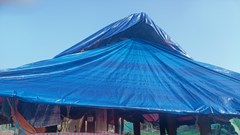 Mong lãnh đạo tỉnh Nghệ An đến đình Nhân Hậu một lần!