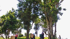 Du lịch nông nghiệp, nông thôn: Tạo sinh kế bền vững cho người dân