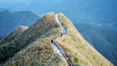 Gắn kết với lợi thế du lịch nông nghiệp