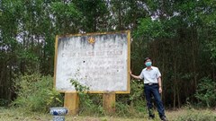 Quảng Nam: Đề nghị thẩm định dự án Khu di tích Tượng đài Chiến thắng Núi Thành