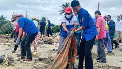 Quảng Ngãi: Hơn 1.000 tình nguyện viên ra quân thu gom rác bãi biển