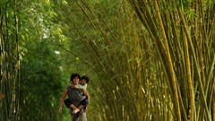 Để “hành lang” điện ảnh cởi mở hơn...