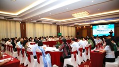 Quảng Nam: Khởi nghiệp du lịch xanh và bền vững