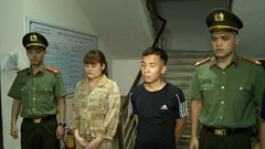 Phá đường dây mang thai hộ và mua bán nội tạng cơ thể người