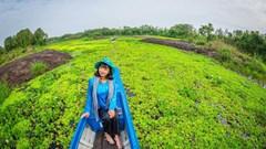 Chuẩn hóa các điểm đến du lịch nông nghiệp, nông thôn gắn với sản phẩm đặc trưng