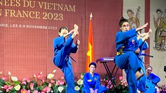 Ấn tượng võ Việt trong Ngày Việt Nam tại Pháp 2023