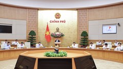 Các lĩnh vực văn hóa, xã hội được chú trọng