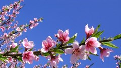 Mời tham gia viết bài Báo Văn Hoá Xuân Giáp Thìn 2024