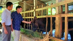 Nông dân “đổi đời” nhờ phát triển kinh tế gia trại