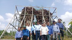 Sẽ nghiên cứu, lập dự án phục dựng Phật viện Đồng Dương