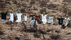 Phim thể nghiệm “9” gây tò mò tại LHP Việt Nam XXIII