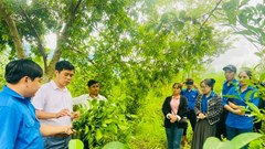 Định vị thương hiệu cho sản phẩm khởi nghiệp của thanh niên miền núi Quảng Ngãi